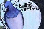 Brian Wright - Bluebird